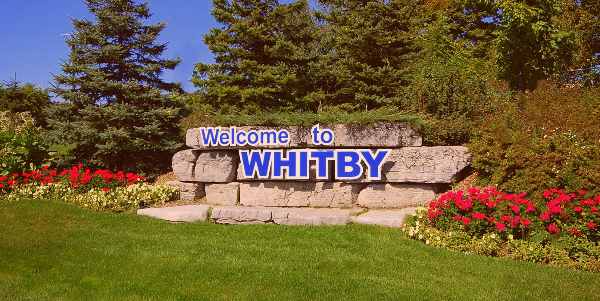 Physiotherapy Clinic in Whitby